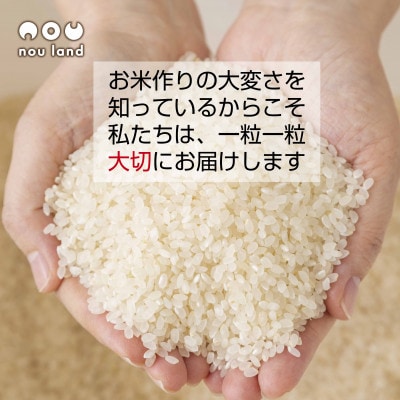 【令和7年産 新米予約】魚沼産 コシヒカリ 特別栽培米 2kg ×5袋 新潟県 十日町市 のうランド