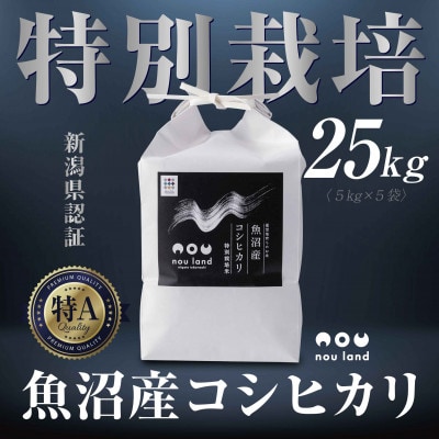 【令和7年産 新米予約】 農家直送 魚沼産 コシヒカリ 特別栽培米 25kg 十日町市 のうランド