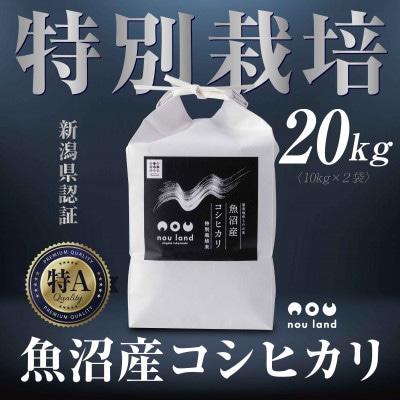 【令和7年産 新米予約】 魚沼産 コシヒカリ 特別栽培米 10kg ×2袋 十日町市 のうランド