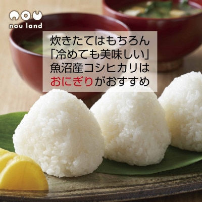 【令和7年産 新米予約】 魚沼産 コシヒカリ 特別栽培米 10kg ×2袋 十日町市 のうランド