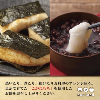魚沼産 黄金もち米 100% 生切り餅 白 2kg (40切入り) 十日町市 のうランド