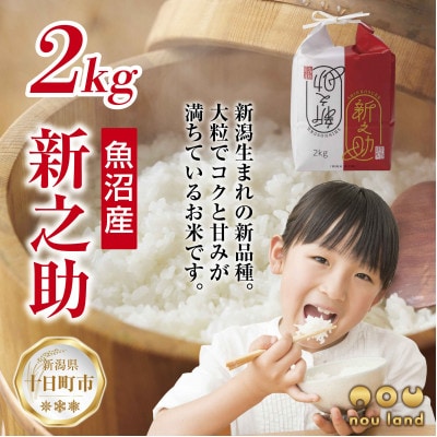 【令和7年産 新米予約】 【新品種】 魚沼産 新之助 2kg  新潟県 十日町市 のうランド