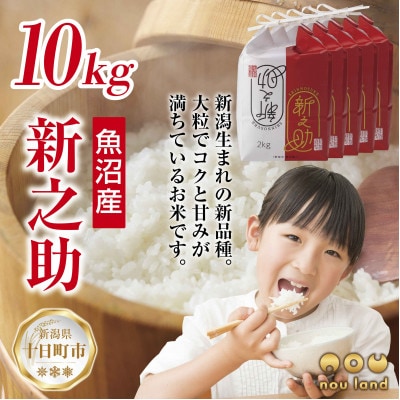【令和7年産 新米予約】 【新品種】 魚沼産 新之助 2kg×5袋 新潟県 十日町市 のうランド