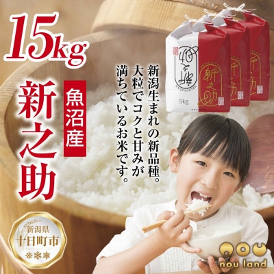 【令和7年産 新米予約】 【新品種】 魚沼産 新之助 15kg  新潟県 十日町市 のうランド