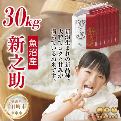 【令和7年産 新米予約】 【新品種】 魚沼産 新之助 30kg  新潟県 十日町市 のうランド