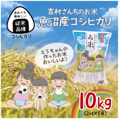 |従来品種| 魚沼産 コシヒカリ 精米 2kg×5袋 計10kg 新潟 十日町市 吉村さんちのお米