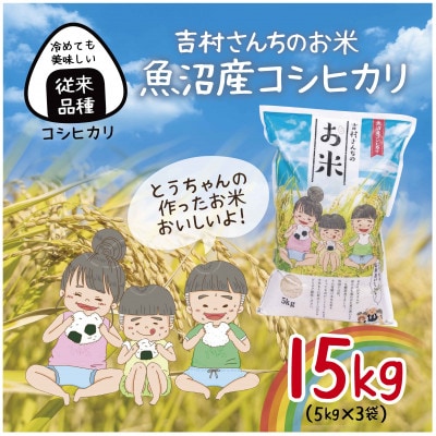 令和7年産 新米 |従来品種| 魚沼産 コシヒカリ 精米 5kg×3袋 計15kg 吉村さんちのお米