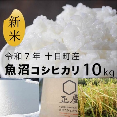 魚沼コシヒカリ十日町産:10kg/甘みもっちり/農薬成分5割以上減(※栽培期間中地域慣行比)