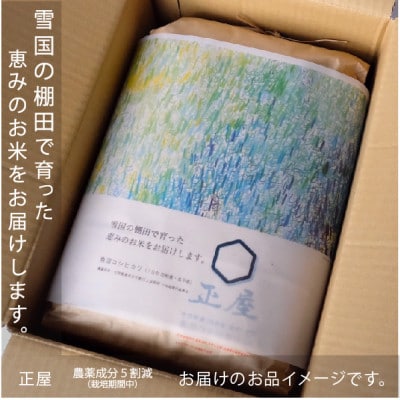 魚沼コシヒカリ十日町産:10kg/甘みもっちり/農薬成分5割以上減(※栽培期間中地域慣行比)