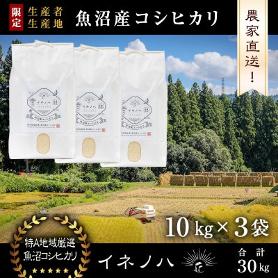 生産農家直送!生産地・生産者限定魚沼産コシヒカリ「イネノハ」精米(10kg×3袋)【合計30kg】