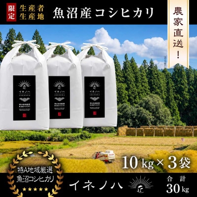 【令和8年産 新米先行予約】魚沼産コシヒカリ 精米 30kg(10kg×3袋) 特A地区 農家直送