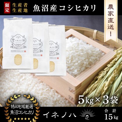 生産農家直送!生産地・生産者限定魚沼産コシヒカリ「イネノハ」精米(5kg×3袋)【合計15kg】