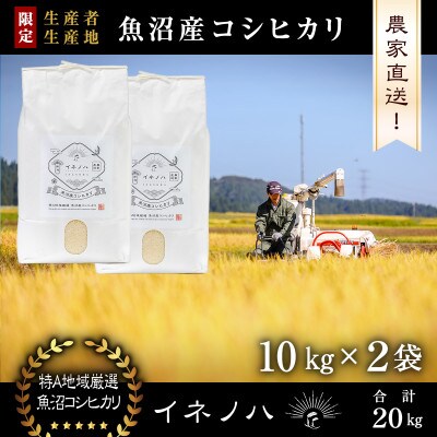 生産農家直送!生産地・生産者限定魚沼産コシヒカリ「イネノハ」精米(10kg×2袋)【合計20kg】