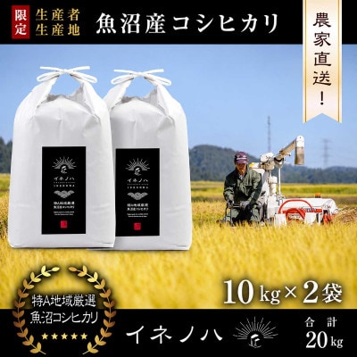 【令和8年産 新米先行予約】魚沼産コシヒカリ 精米 20kg(10kg×2袋) 特A地区 農家直送