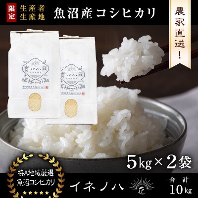 生産農家直送!生産地・生産者限定魚沼産コシヒカリ「イネノハ」精米(5kg×2袋)【合計10kg】