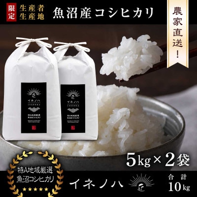 【令和8年産 新米先行予約】魚沼産コシヒカリ 精米 10kg(5kg×2袋) 特A地区 農家直送