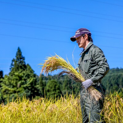 生産農家直送!生産地・生産者限定魚沼産コシヒカリ「イネノハ」精米(5kg×2袋)【合計10kg】