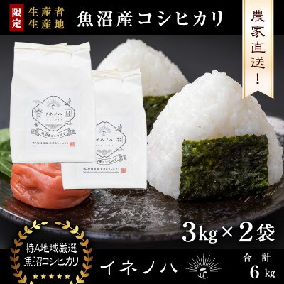 生産農家直送!生産地・生産者限定魚沼産コシヒカリ「イネノハ」精米(3kg×2袋)【合計6kg】