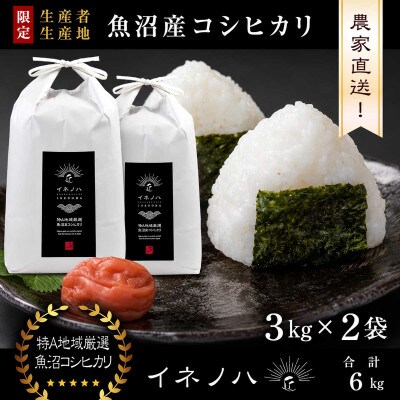 【令和8年産 新米先行予約】魚沼産コシヒカリ 精米 6kg(3kg×2袋) 特A地区 農家直送