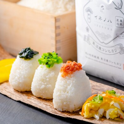 生産農家直送!生産地・生産者限定魚沼産コシヒカリ「イネノハ」精米(3kg×2袋)【合計6kg】