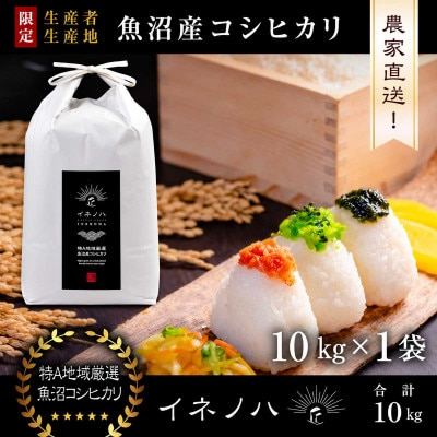 【令和8年産 新米先行予約】魚沼産コシヒカリ 精米 10kg(10kg×1袋) 特A地区 農家直送