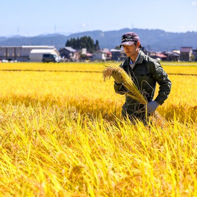 生産農家直送!生産地・生産者限定魚沼産コシヒカリ「イネノハ」精米(10kg×1袋)