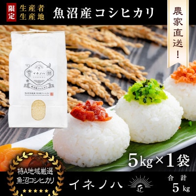 生産農家直送!生産地・生産者限定魚沼産コシヒカリ「イネノハ」精米(5kg×1袋)