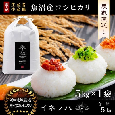 【令和8年産 新米先行予約】魚沼産コシヒカリ 精米 5kg(5kg×1袋) 特A地区 農家直送