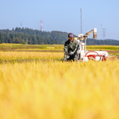 生産農家直送!生産地・生産者限定魚沼産コシヒカリ「イネノハ」精米(5kg×1袋)