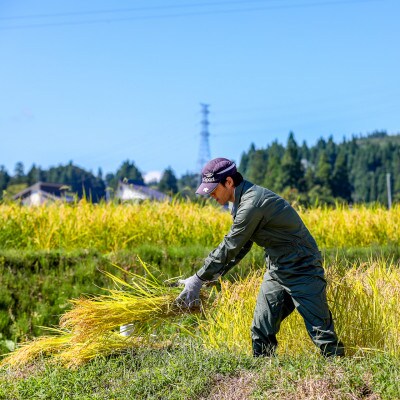 生産農家直送!生産地・生産者限定魚沼産コシヒカリ「イネノハ」精米(5kg×1袋)