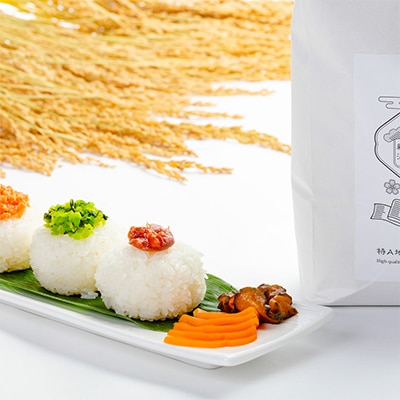 【毎月定期便】魚沼産コシヒカリ「イネノハ」精米(3kg×1個)×12回【合計36kg】全12回