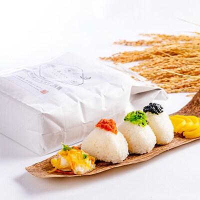 【毎月定期便】魚沼産コシヒカリ「イネノハ」精米(3kg×2個)×12回【合計72kg】全12回