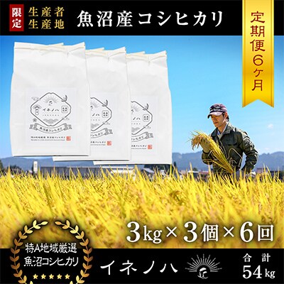 【毎月定期便】魚沼産コシヒカリ「イネノハ」精米(3kg×3個)×6回【合計54kg】全6回