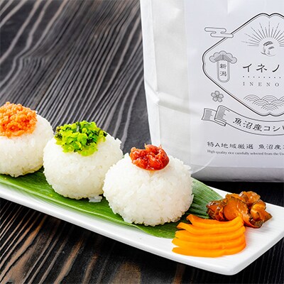 【毎月定期便】魚沼産コシヒカリ「イネノハ」精米(3kg×3個)×6回【合計54kg】全6回