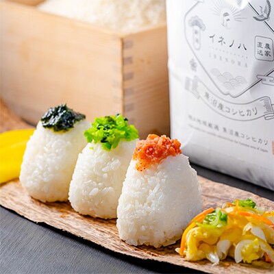 【毎月定期便】魚沼産コシヒカリ「イネノハ」精米(3kg×3個)×12回【合計108kg】全12回