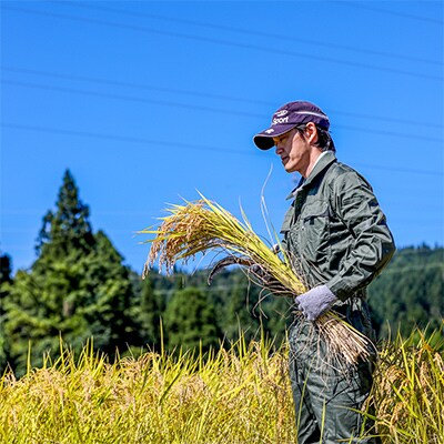 【毎月定期便】魚沼産コシヒカリ「イネノハ」精米(3kg×4個)×6回【合計72kg】全6回