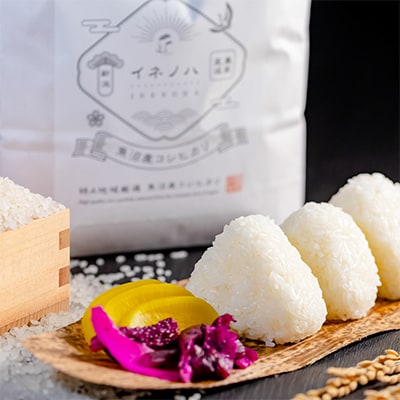 【毎月定期便】魚沼産コシヒカリ「イネノハ」精米(3kg×4個)×12回【合計144kg】全12回