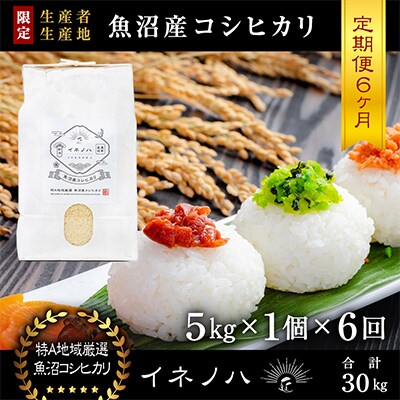 【毎月定期便】魚沼産コシヒカリ「イネノハ」精米(5kg×1個)×6回【合計30kg】全6回