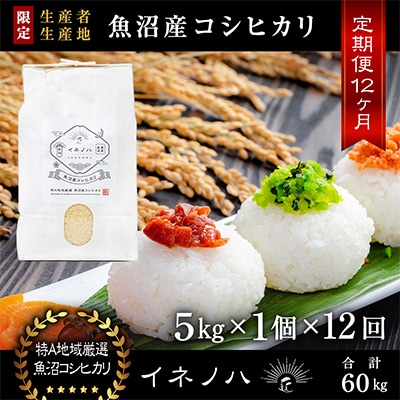 【毎月定期便】魚沼産コシヒカリ「イネノハ」精米(5kg×1個)×12回【合計60kg】全12回