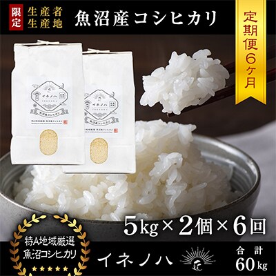 【毎月定期便】魚沼産コシヒカリ「イネノハ」精米(5kg×2個)×6回【合計60kg】全6回