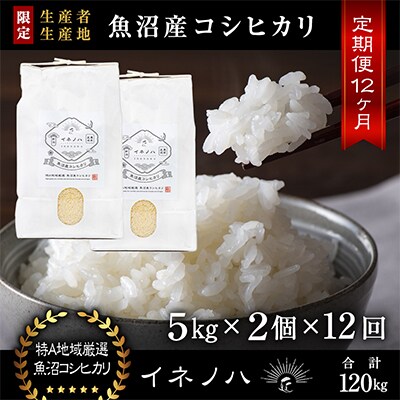 【毎月定期便】魚沼産コシヒカリ「イネノハ」精米(5kg×2個)×12回【合計120kg】全12回