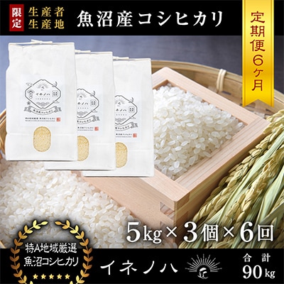 【毎月定期便】魚沼産コシヒカリ「イネノハ」精米(5kg×3個)×6回【合計90kg】全6回