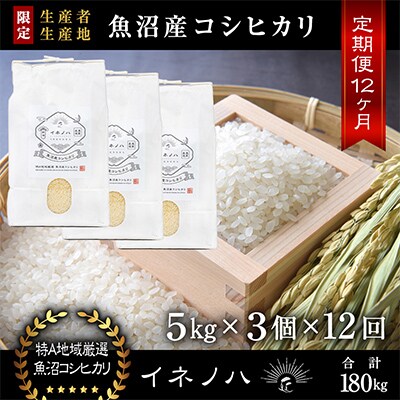 【毎月定期便】魚沼産コシヒカリ「イネノハ」精米(5kg×3個)×12回【合計180kg】全12回