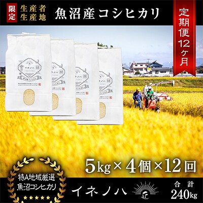 【毎月定期便】魚沼産コシヒカリ「イネノハ」精米(5kg×4個)×12回【合計240kg】全12回