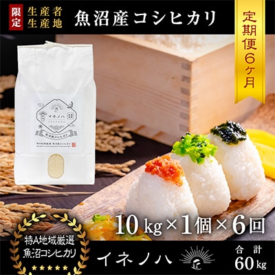 【毎月定期便】魚沼産コシヒカリ「イネノハ」精米(10kg×1個)×6回【合計60kg】全6回