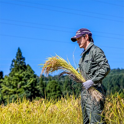 【毎月定期便】魚沼産コシヒカリ「イネノハ」精米(10kg×1個)×6回【合計60kg】全6回