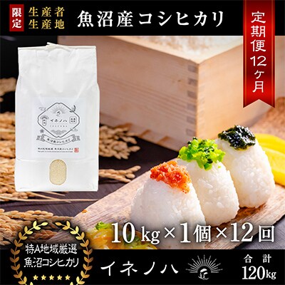 【毎月定期便】魚沼産コシヒカリ「イネノハ」精米(10kg×1個)×12回【合計120kg】全12回