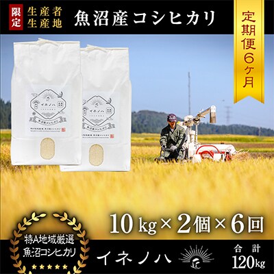 【毎月定期便】魚沼産コシヒカリ「イネノハ」精米(10kg×2個)×6回【合計120kg】全6回