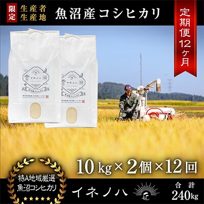 【毎月定期便】魚沼産コシヒカリ「イネノハ」精米(10kg×2個)×12回【合計240kg】全12回
