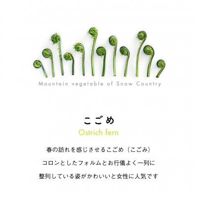 着る山菜!【こごめTシャツ・ホワイト】XLサイズ